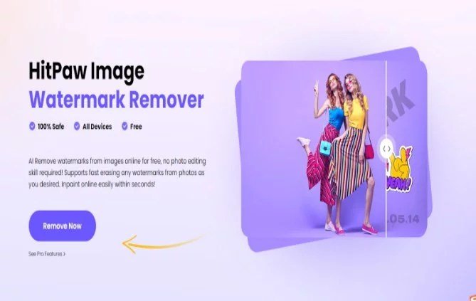HitPaw Online Image Watermark Remover and Its Top 3 Alternatives